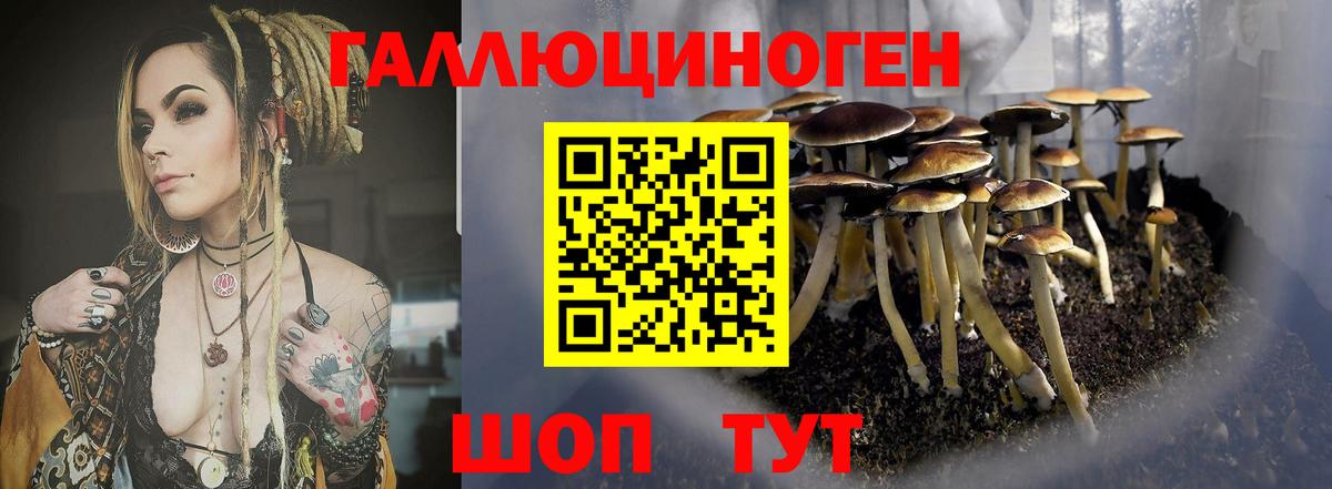 закладки  Галлюциногенные грибы GOLDEN TEACHER  Вход с VPN  Петрозаводск 